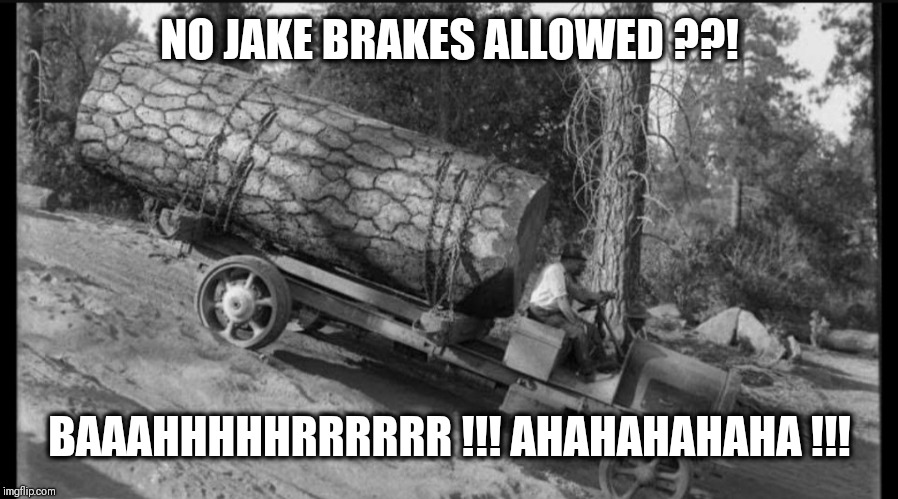 Jake brake | NO JAKE BRAKES ALLOWED ??! BAAAHHHHHRRRRRR !!!
AHAHAHAHAHA !!! | image tagged in truck | made w/ Imgflip meme maker