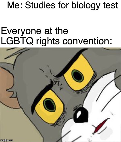2 genders? Or many more? | Me: Studies for biology test; Everyone at the LGBTQ rights convention: | image tagged in unsettled tom,memes,lgbt | made w/ Imgflip meme maker