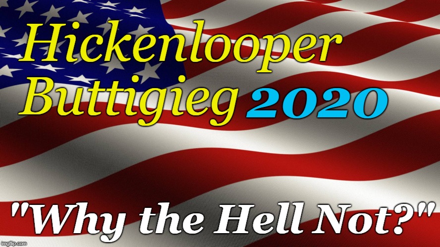 FAIL 2020: First up! | Hickenlooper Buttigieg; 2020; "Why the Hell Not?" | image tagged in politics,conservatives,maga,election 2020,funny | made w/ Imgflip meme maker