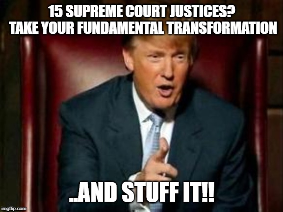 Donald Trump | 15 SUPREME COURT JUSTICES? TAKE YOUR FUNDAMENTAL TRANSFORMATION; ..AND STUFF IT!! | image tagged in donald trump | made w/ Imgflip meme maker