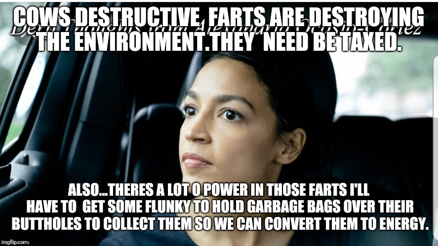 Cortez cow farts power  | COWS DESTRUCTIVE  FARTS ARE DESTROYING THE ENVIRONMENT.THEY  NEED BE TAXED. ALSO...THERES A LOT O POWER IN THOSE FARTS I'LL HAVE TO  GET SOME FLUNKY TO HOLD GARBAGE BAGS OVER THEIR BUTTHOLES TO COLLECT THEM SO WE CAN CONVERT THEM TO ENERGY. | image tagged in derp thoughts from aoc | made w/ Imgflip meme maker