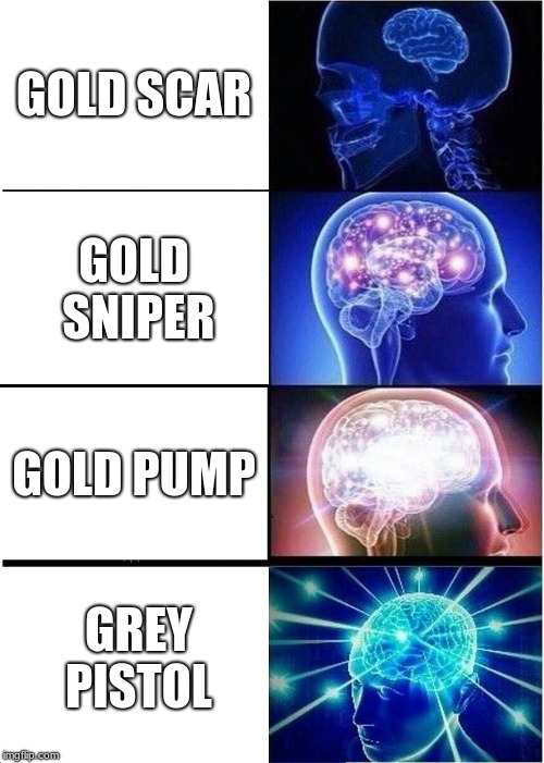 Expanding Brain | GOLD SCAR; GOLD SNIPER; GOLD PUMP; GREY PISTOL | image tagged in memes,expanding brain | made w/ Imgflip meme maker