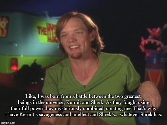 Shaggy Interview | Like, I was born from a battle between the two greatest beings in the universe, Kermit and Shrek. As they fought using their full power they mysteriously combined, creating me. That’s why I have Kermit’s savageness and intellect and Shrek’s... whatever Shrek has. | image tagged in shaggy interview | made w/ Imgflip meme maker