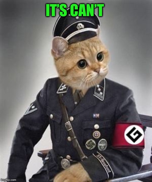 Grammar Nazi Cat | IT’S CAN’T | image tagged in grammar nazi cat | made w/ Imgflip meme maker