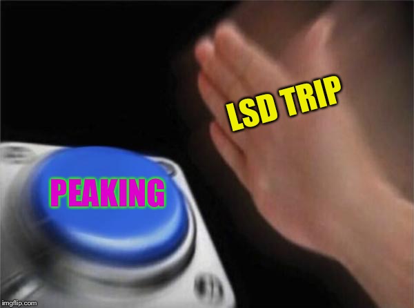 Blank Nut Button Meme | LSD TRIP PEAKING | image tagged in memes,blank nut button | made w/ Imgflip meme maker
