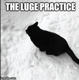THE LUGE PRACTICE | image tagged in gifs | made w/ Imgflip video-to-gif maker