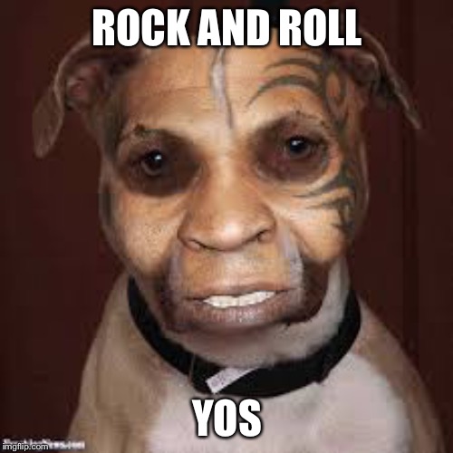 ugly dog rock | ROCK AND ROLL YOS | image tagged in ugly dog rock | made w/ Imgflip meme maker
