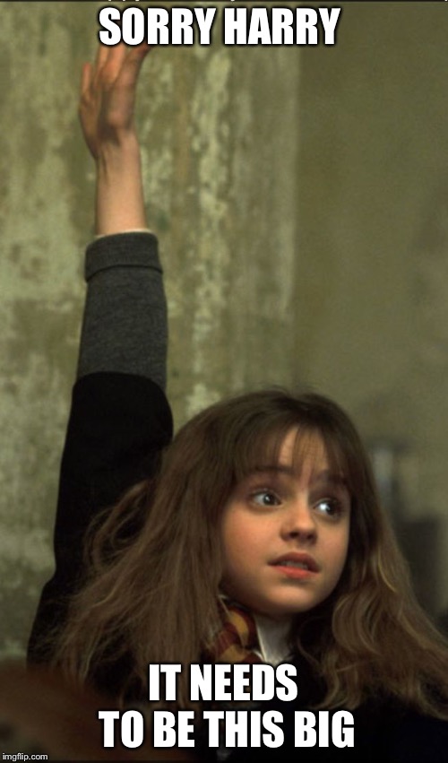Hermione Granger | SORRY HARRY; IT NEEDS TO BE THIS BIG | image tagged in memes | made w/ Imgflip meme maker