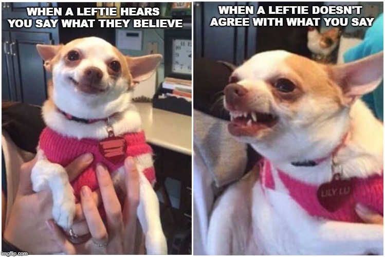 Happy chihuahua angry chihuahua  | WHEN A LEFTIE DOESN'T AGREE WITH WHAT YOU SAY; WHEN A LEFTIE HEARS YOU SAY WHAT THEY BELIEVE | image tagged in happy chihuahua angry chihuahua | made w/ Imgflip meme maker