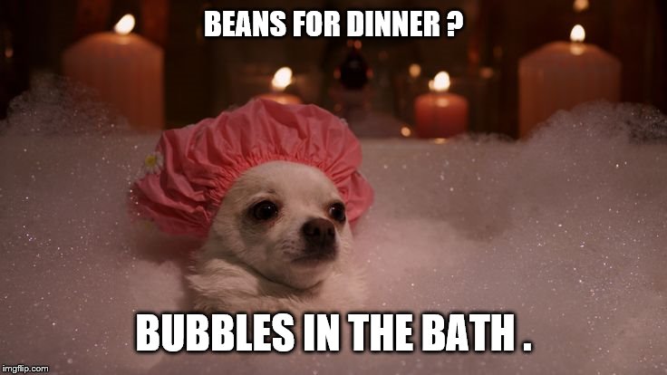 Chihuahua Bubble Bath | BEANS FOR DINNER ? BUBBLES IN THE BATH . | image tagged in chihuahua bubble bath | made w/ Imgflip meme maker