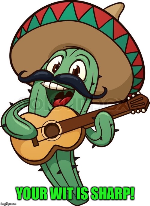Singing Mexican Cactus | YOUR WIT IS SHARP! | image tagged in singing mexican cactus | made w/ Imgflip meme maker