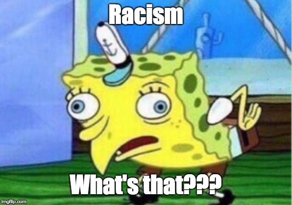 Mocking Spongebob Meme | Racism; What's that??? | image tagged in memes,mocking spongebob | made w/ Imgflip meme maker