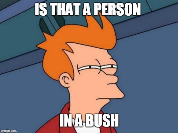 Futurama Fry Meme | IS THAT A PERSON; IN A BUSH | image tagged in memes,futurama fry | made w/ Imgflip meme maker