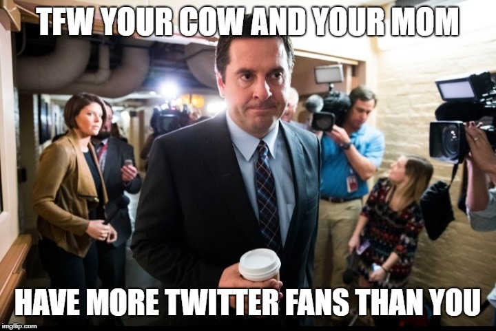 Devin Nunes coffee | TFW YOUR COW AND YOUR MOM; HAVE MORE TWITTER FANS THAN YOU | image tagged in devin nunes coffee | made w/ Imgflip meme maker
