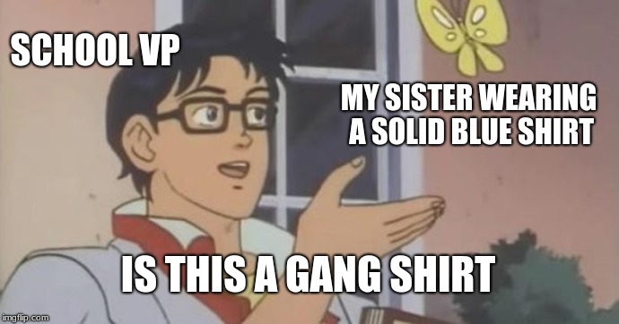Is This a Pigeon | SCHOOL VP; MY SISTER WEARING A SOLID BLUE SHIRT; IS THIS A GANG SHIRT | image tagged in is this a pigeon | made w/ Imgflip meme maker
