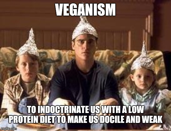 tinfoilhats | VEGANISM; TO INDOCTRINATE US WITH A LOW PROTEIN DIET TO MAKE US DOCILE AND WEAK | image tagged in tinfoilhats | made w/ Imgflip meme maker