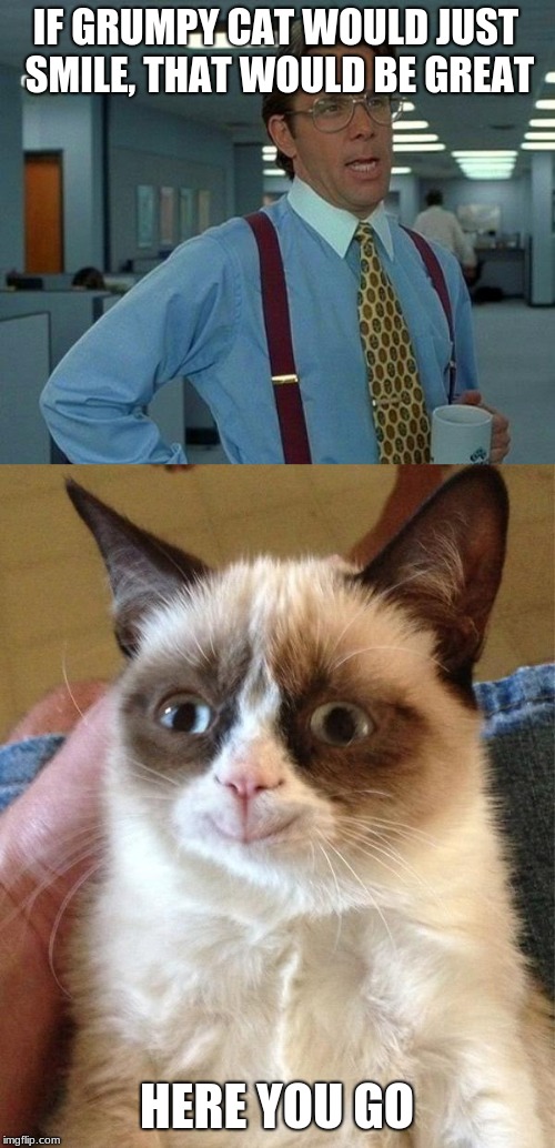 IF GRUMPY CAT WOULD JUST SMILE, THAT WOULD BE GREAT; HERE YOU GO | image tagged in memes,grumpy cat happy,that would be great | made w/ Imgflip meme maker