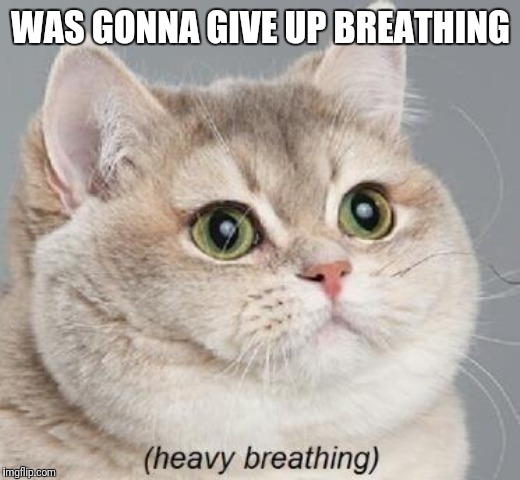 Heavy Breathing Cat Meme | WAS GONNA GIVE UP BREATHING | image tagged in memes,heavy breathing cat | made w/ Imgflip meme maker