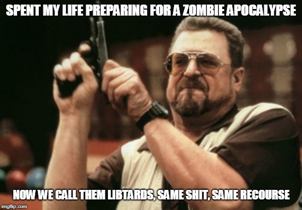 Am I The Only One Around Here | SPENT MY LIFE PREPARING FOR A ZOMBIE APOCALYPSE; NOW WE CALL THEM LIBTARDS, SAME SHIT, SAME RECOURSE | image tagged in memes,am i the only one around here | made w/ Imgflip meme maker