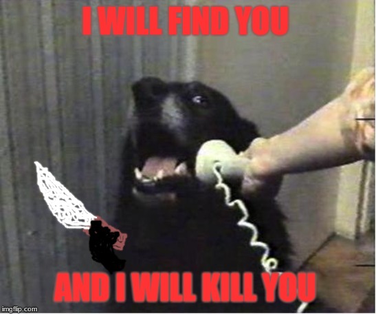Yes this is dog | I WILL FIND YOU; AND I WILL KILL YOU | image tagged in yes this is dog | made w/ Imgflip meme maker