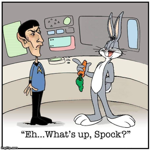 I must have taken a wrong turn at Albuquerque. | image tagged in bugs bunny,star trek,mr spock,funny | made w/ Imgflip meme maker