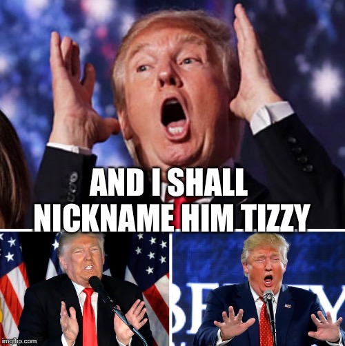 Tizzy | AND I SHALL NICKNAME HIM TIZZY | image tagged in tizzy | made w/ Imgflip meme maker