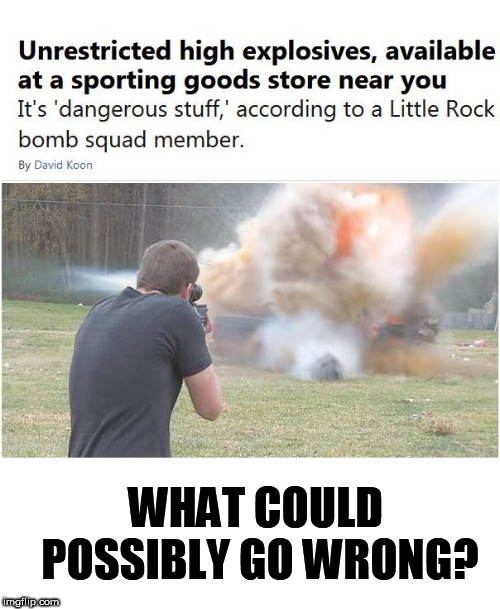 I don't see what  all  the Fuss is  about. | WHAT COULD POSSIBLY GO WRONG? | image tagged in bomb squad,what could go wrong,possibly,member | made w/ Imgflip meme maker
