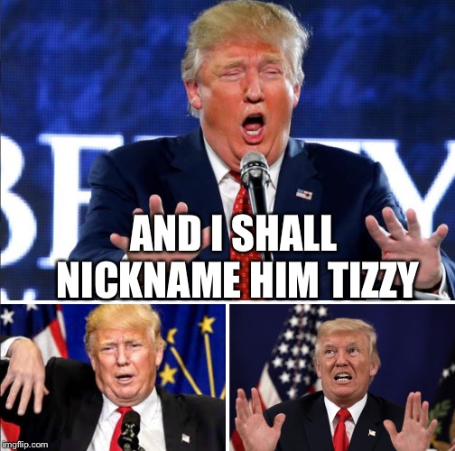 Tizzy | AND I SHALL NICKNAME HIM TIZZY | image tagged in tizzy | made w/ Imgflip meme maker