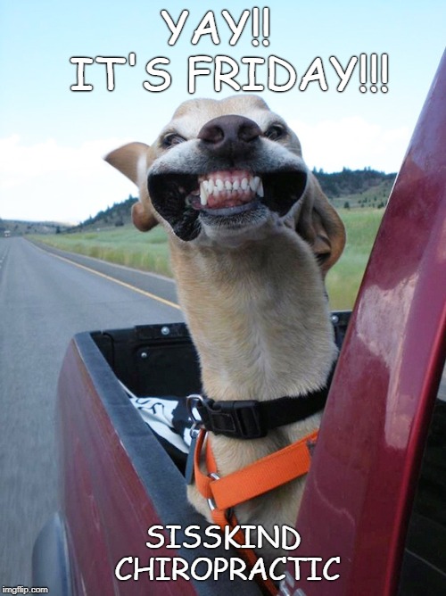 Yay!! It's Friday!!! | YAY!!  IT'S FRIDAY!!! SISSKIND CHIROPRACTIC | image tagged in yay it's friday | made w/ Imgflip meme maker