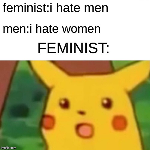 Surprised Pikachu | feminist:i hate men; men:i hate women; FEMINIST: | image tagged in memes,surprised pikachu | made w/ Imgflip meme maker