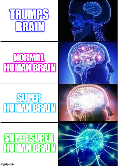 Expanding Brain Meme | TRUMPS BRAIN; NORMAL HUMAN BRAIN; SUPER HUMAN BRAIN; SUPER SUPER HUMAN BRAIN | image tagged in memes,expanding brain | made w/ Imgflip meme maker