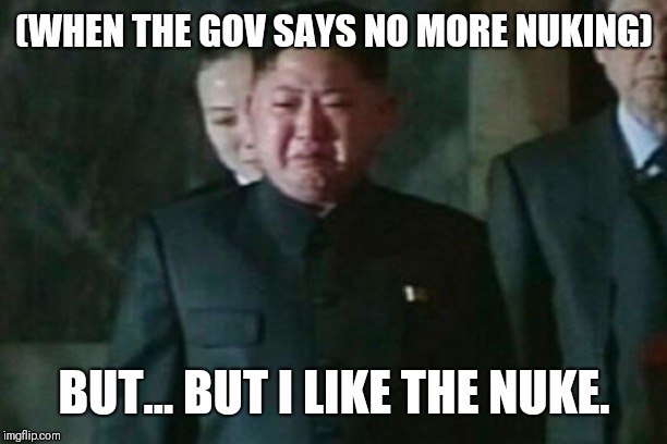 Kim Jong Un Sad | (WHEN THE GOV SAYS NO MORE NUKING); BUT... BUT I LIKE THE NUKE. | image tagged in memes,kim jong un sad | made w/ Imgflip meme maker
