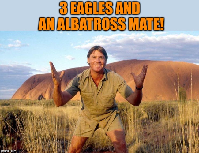 Steve Irwin Crocodile Hunter  | 3 EAGLES AND AN ALBATROSS MATE! | image tagged in steve irwin crocodile hunter | made w/ Imgflip meme maker
