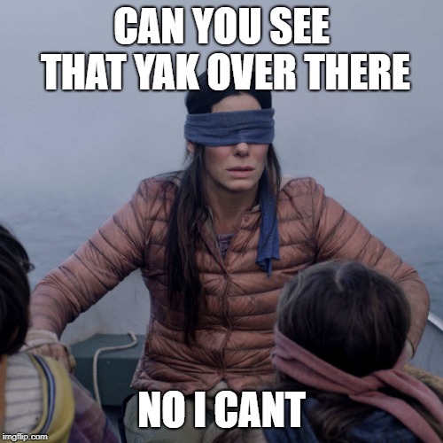 i wonder why | CAN YOU SEE THAT YAK OVER THERE; NO I CANT | image tagged in memes,bird box,blind,oof | made w/ Imgflip meme maker