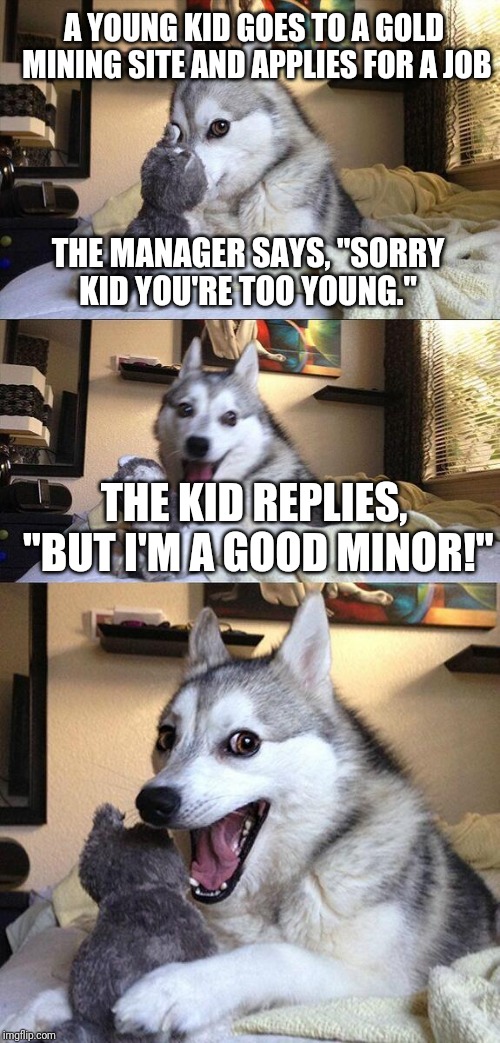 Did i strike Gold with this joke!? | A YOUNG KID GOES TO A GOLD MINING SITE AND APPLIES FOR A JOB; THE MANAGER SAYS, "SORRY KID YOU'RE TOO YOUNG."; THE KID REPLIES, "BUT I'M A GOOD MINOR!" | image tagged in memes,bad pun dog,jokes,gold,funny,funny memes | made w/ Imgflip meme maker