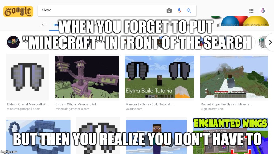 people don't know enough about beetle wings | WHEN YOU FORGET TO PUT "MINECRAFT" IN FRONT OF THE SEARCH; BUT THEN YOU REALIZE YOU DON'T HAVE TO | image tagged in minecraft,elytra,beetle wings are never recognized,minecraft memes | made w/ Imgflip meme maker