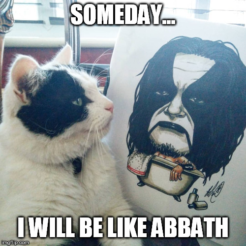 Immortal cat | SOMEDAY... I WILL BE LIKE ABBATH | image tagged in black metal,immortal,idol | made w/ Imgflip meme maker