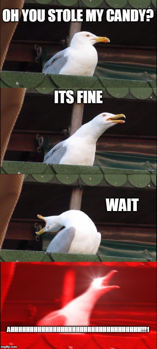 Inhaling Seagull Meme | OH YOU STOLE MY CANDY? ITS FINE; WAIT; AHHHHHHHHHHHHHHHHHHHHHHHHHHHHHHHHHH!!!1 | image tagged in memes,inhaling seagull | made w/ Imgflip meme maker