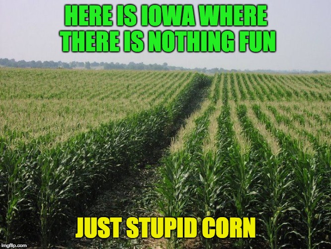 There is nothing fun about Iowa | HERE IS IOWA WHERE THERE IS NOTHING FUN; JUST STUPID CORN | image tagged in iowa,funny | made w/ Imgflip meme maker