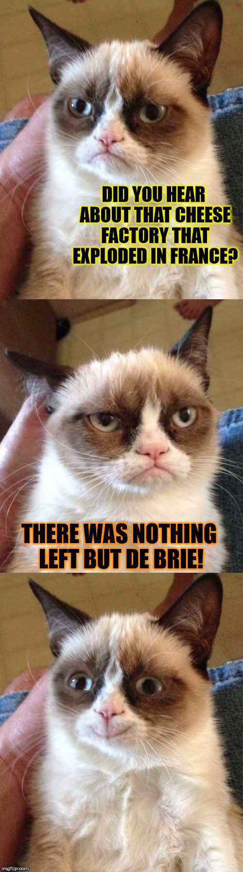 Those are PUNchy news... | DID YOU HEAR ABOUT THAT CHEESE FACTORY THAT EXPLODED IN FRANCE? THERE WAS NOTHING LEFT BUT DE BRIE! | image tagged in bad pun grumpy cat,memes,funny,puns,cheese,factory | made w/ Imgflip meme maker