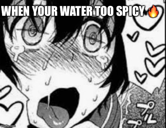 When your water too spicy | WHEN YOUR WATER TOO SPICY 🔥 | image tagged in dank,memes,funny,ahegao,water,spicy | made w/ Imgflip meme maker