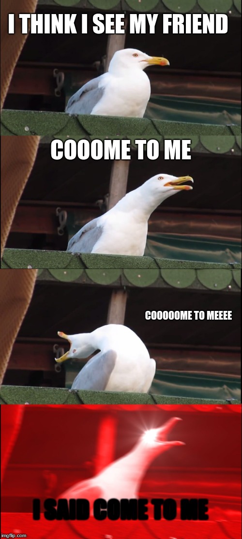 Inhaling Seagull Meme | I THINK I SEE MY FRIEND; COOOME TO ME; COOOOOME TO MEEEE; I SAID COME TO ME | image tagged in memes,inhaling seagull | made w/ Imgflip meme maker