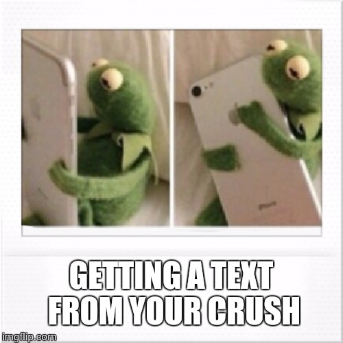 Kermit phone hug | GETTING A TEXT FROM YOUR CRUSH | image tagged in kermit phone hug | made w/ Imgflip meme maker