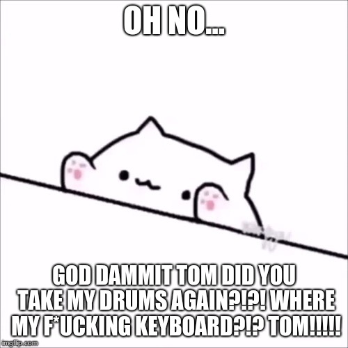 bongo cat | OH NO... GOD DAMMIT TOM DID YOU TAKE MY DRUMS AGAIN?!?! WHERE MY F*UCKING KEYBOARD?!? TOM!!!!! | image tagged in bongo cat | made w/ Imgflip meme maker