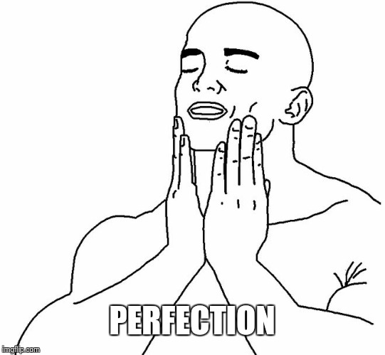 Satisfaction | PERFECTION | image tagged in satisfaction | made w/ Imgflip meme maker