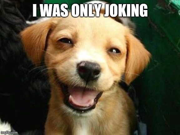 Dog Smiling | I WAS ONLY JOKING | image tagged in dog smiling | made w/ Imgflip meme maker