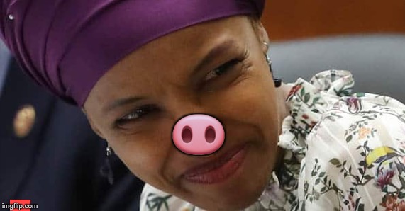 🐽 | made w/ Imgflip meme maker