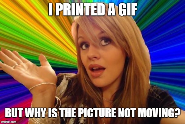 Dumb Blonde Meme | I PRINTED A GIF BUT WHY IS THE PICTURE NOT MOVING? | image tagged in memes,dumb blonde | made w/ Imgflip meme maker