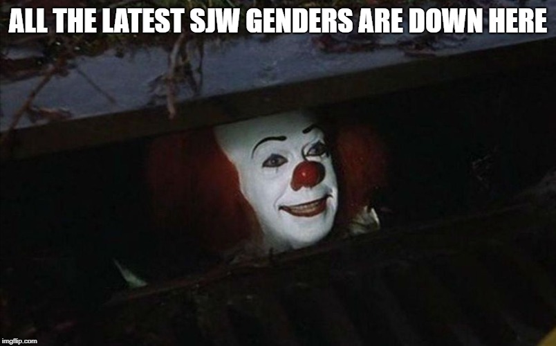Clown in sewer | ALL THE LATEST SJW GENDERS ARE DOWN HERE | image tagged in clown in sewer | made w/ Imgflip meme maker