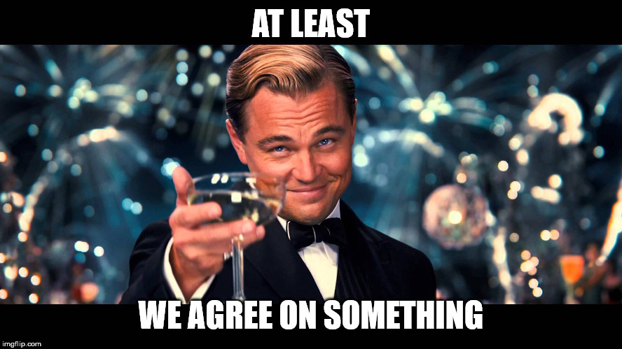 lionardo dicaprio thank you | AT LEAST WE AGREE ON SOMETHING | image tagged in lionardo dicaprio thank you | made w/ Imgflip meme maker